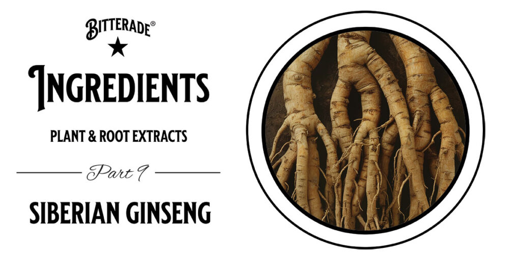 siberian ginseng