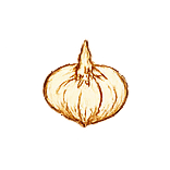 bitterade-maca icon